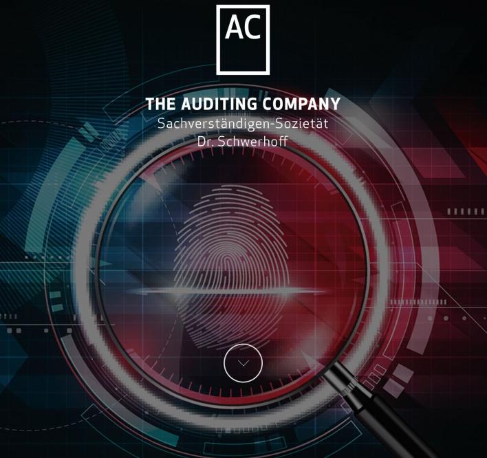 The Auditing Company